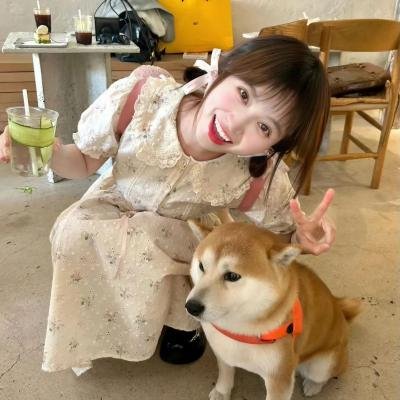 萌探探探案